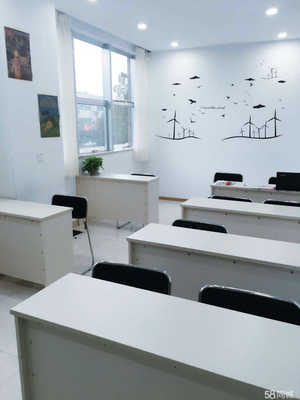 潍坊新元科文教育咨询 专业教育规划，点亮学业与职业未来