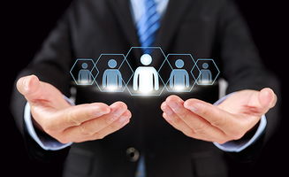 教育咨询服务新篇章 烟台网亿网络公司助力教育培训机构实现数字化转型